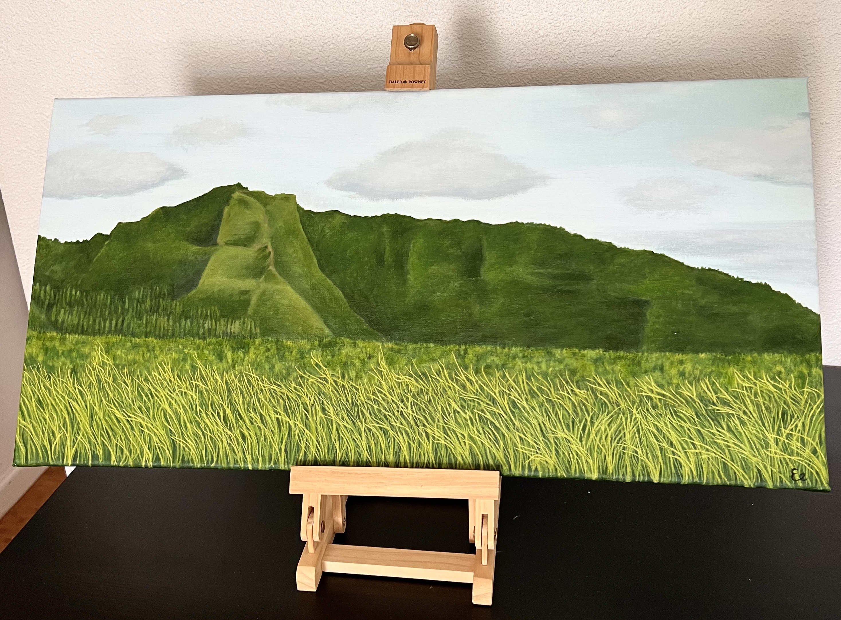 Kauai jungle mountain landscape by Elsa Eve