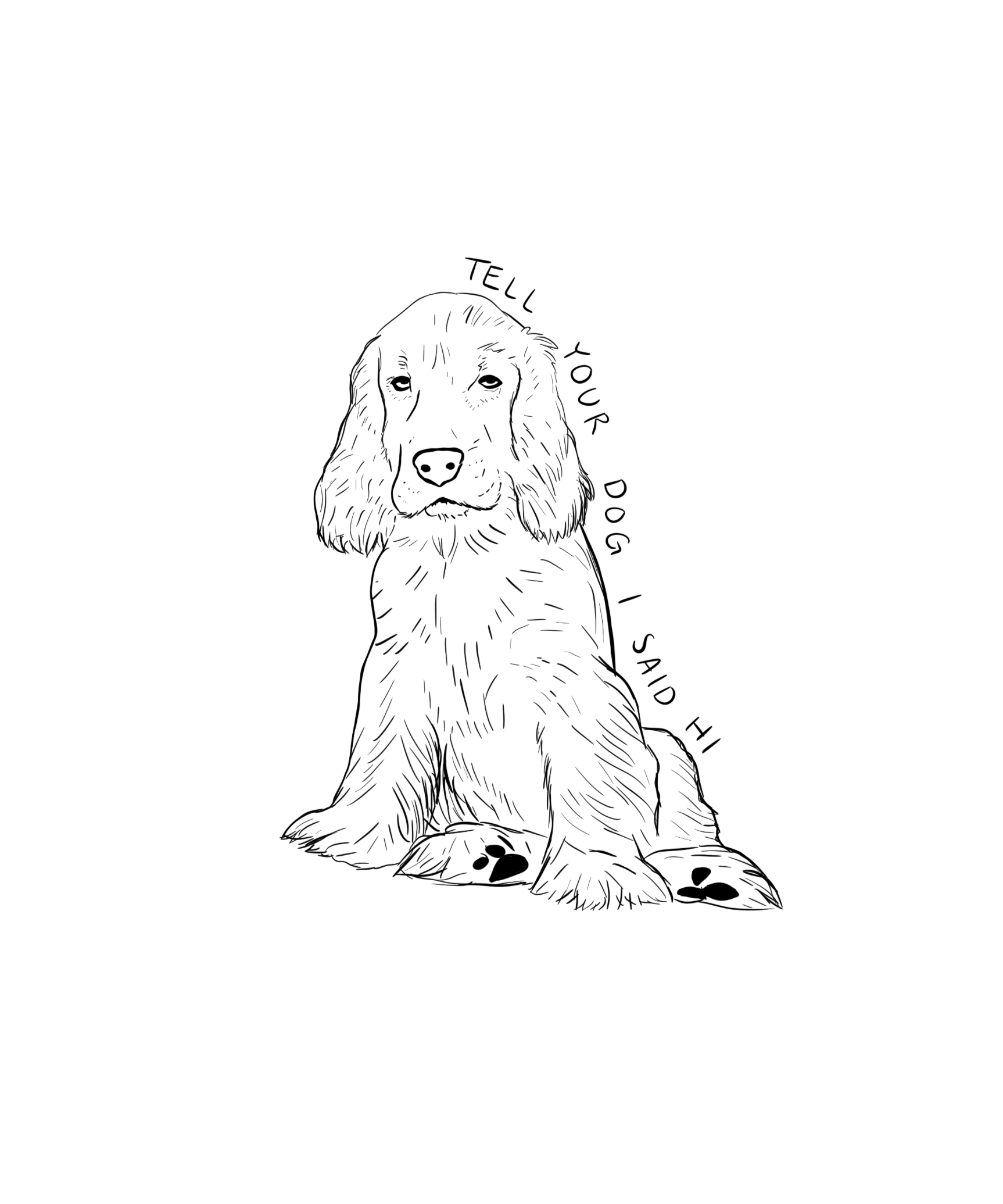 Visual design by Elsa Eve